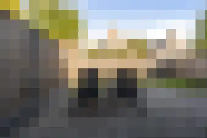 Elzenpad 11 Oud Gastel thumbnail 43