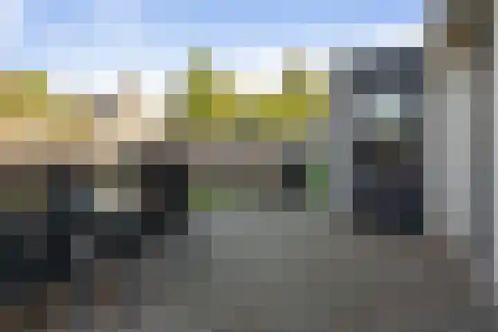 Elzenpad 11 Oud Gastel thumbnail 44