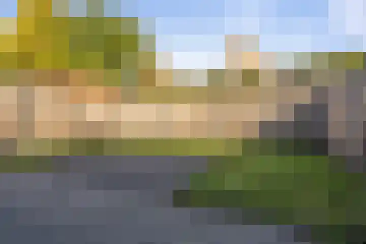 Elzenpad 11 Oud Gastel thumbnail 45