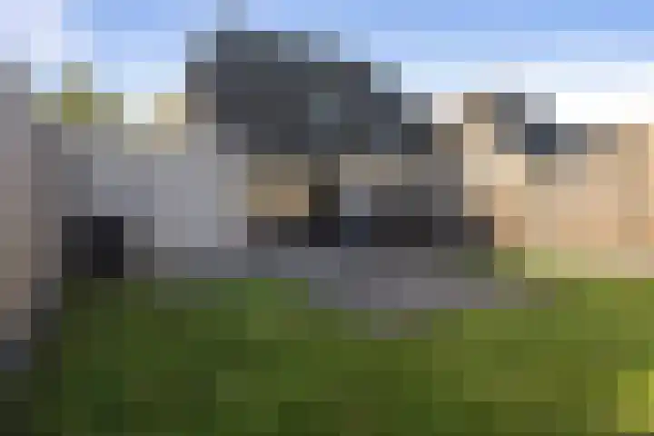 Elzenpad 11 Oud Gastel thumbnail 46