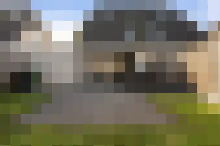 Elzenpad 11 Oud Gastel thumbnail 47