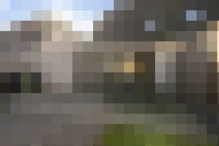 Elzenpad 11 Oud Gastel thumbnail 48