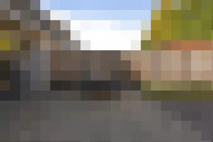 Elzenpad 11 Oud Gastel thumbnail 49