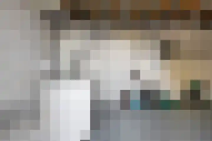 Elzenpad 11 Oud Gastel thumbnail 50