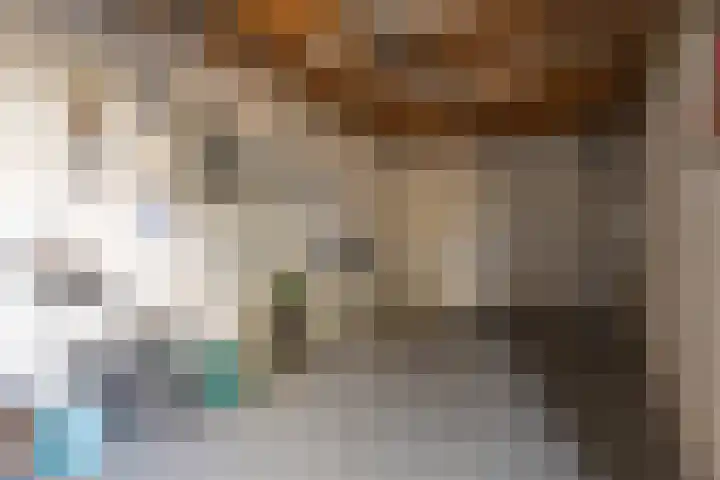 Elzenpad 11 Oud Gastel thumbnail 51