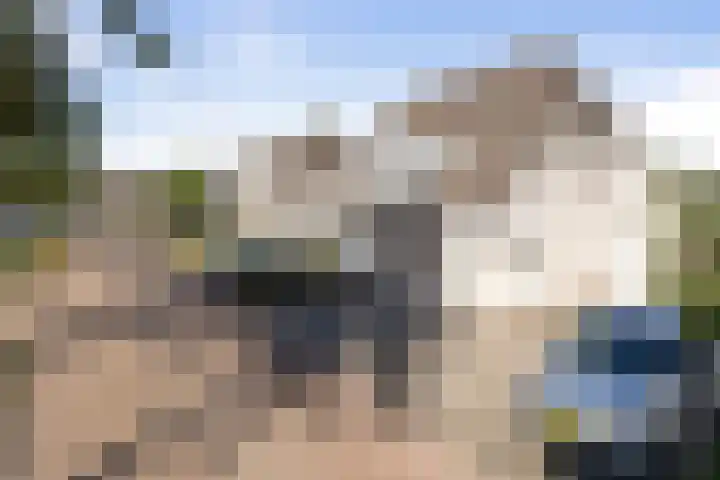 Elzenpad 11 Oud Gastel thumbnail 52
