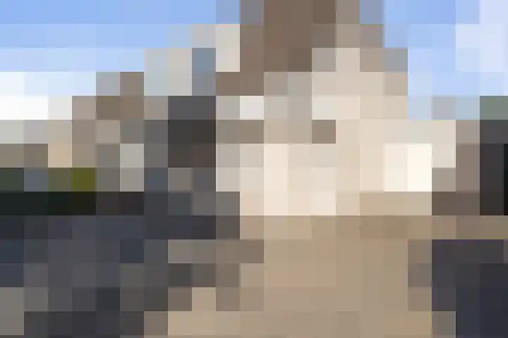 Elzenpad 11 Oud Gastel thumbnail 8