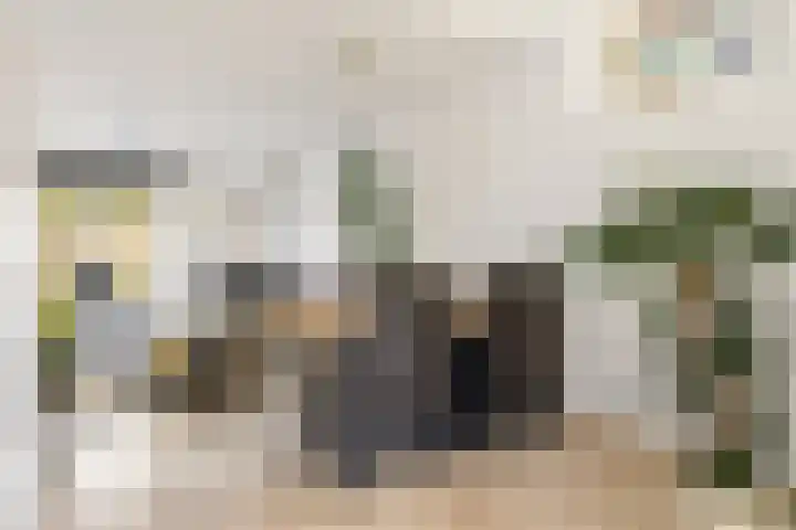 Elzenpad 11 Oud Gastel thumbnail 9
