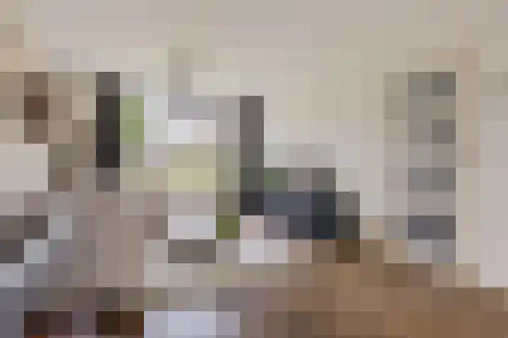 Elzenpad 7 Kessel thumbnail 10