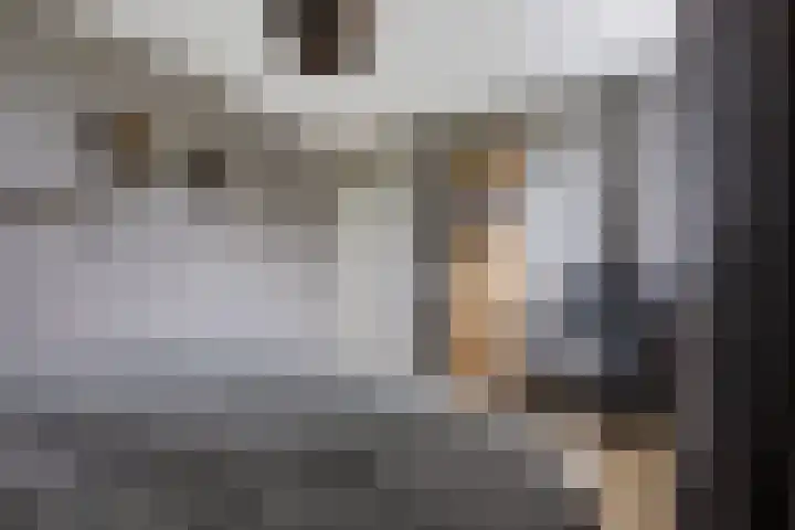 Elzenpad 7 Kessel thumbnail 27