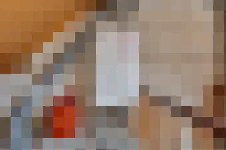 Elzenpad 7 Kessel thumbnail 37
