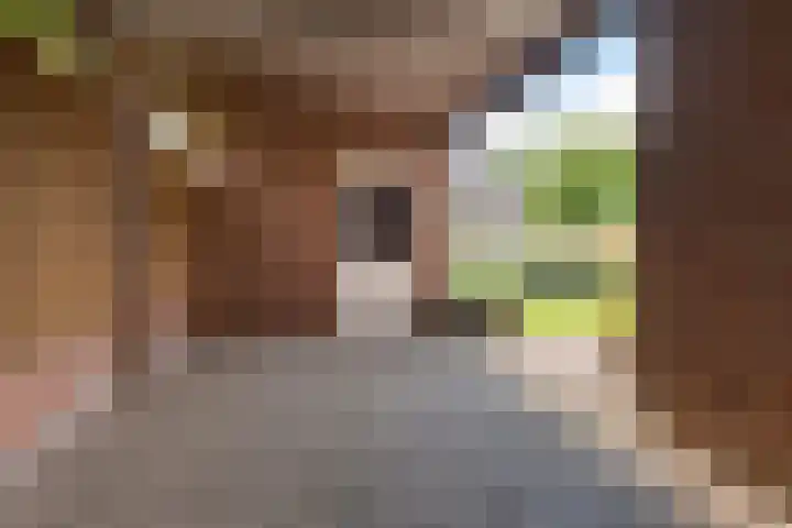 Elzenpad 7 Kessel thumbnail 45