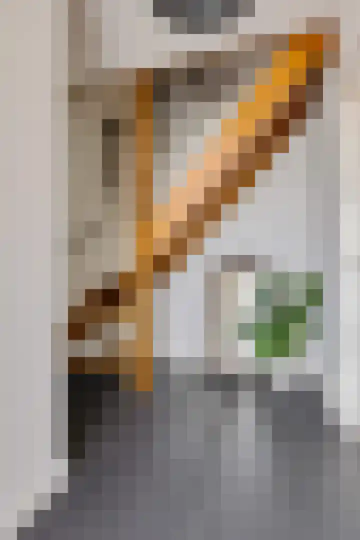 Elzenpad 7 Kessel thumbnail 8