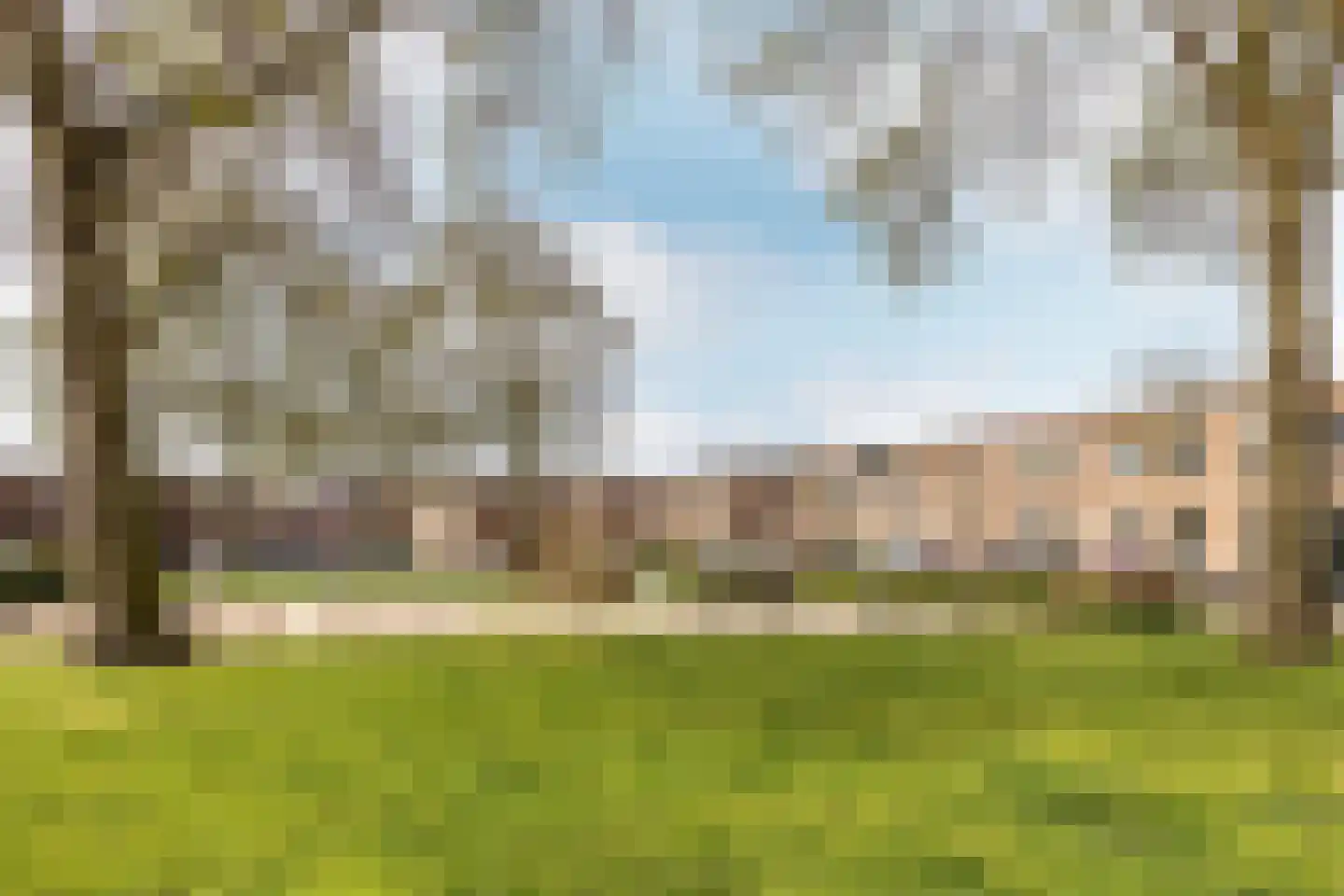 Elzenplein 60 Haarlem thumbnail 21