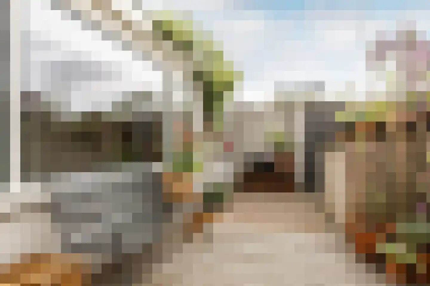 Elzenplein 60 Haarlem thumbnail 24