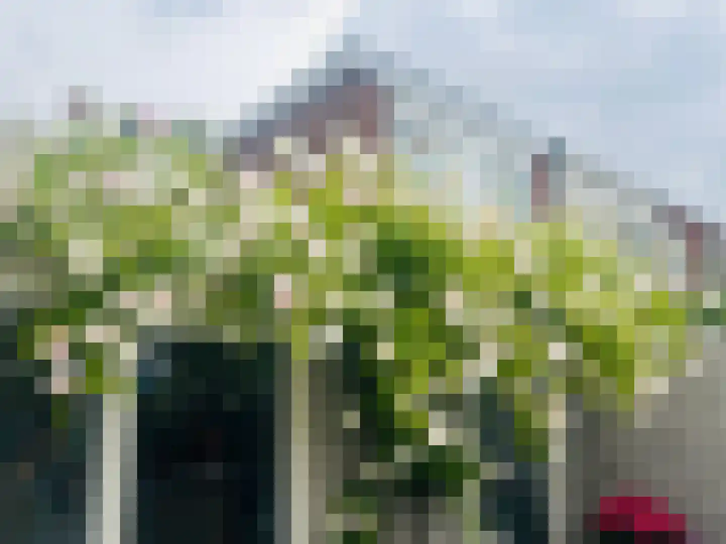 Elzenplein 60 Haarlem thumbnail 25