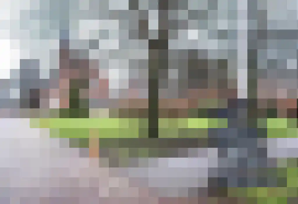 Elzenplein 60 Haarlem thumbnail 29