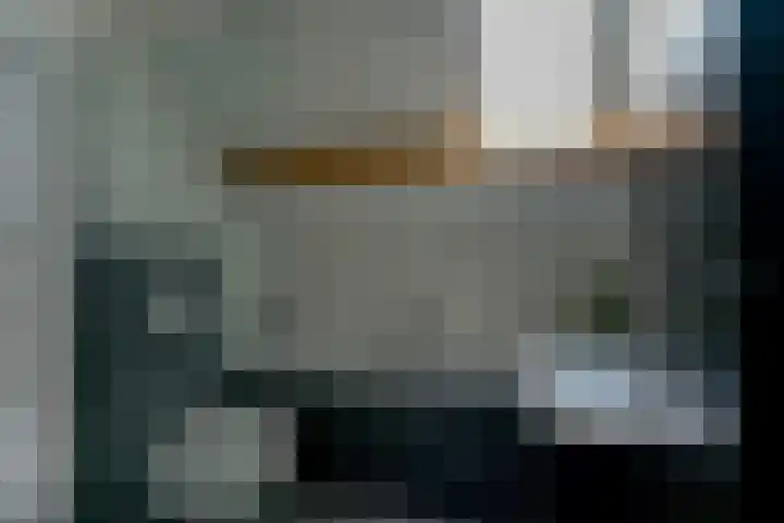 Elzenrijs 45 St. Willebrord thumbnail 19