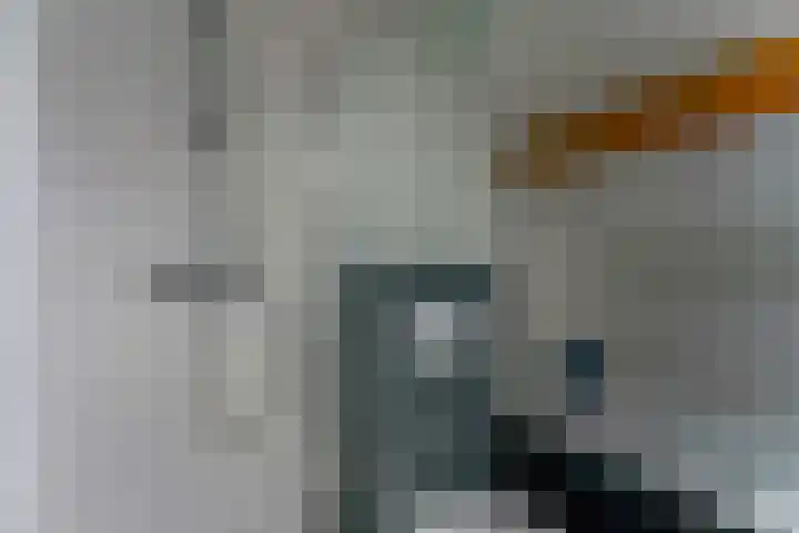 Elzenrijs 45 St. Willebrord thumbnail 20