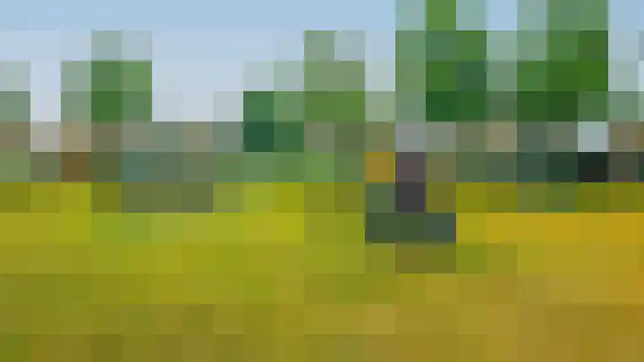 Elzenrijs 45 St. Willebrord thumbnail 26