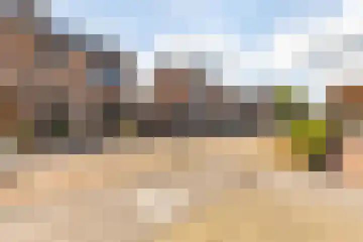 Elzenrijs 71 St. Willebrord thumbnail 47