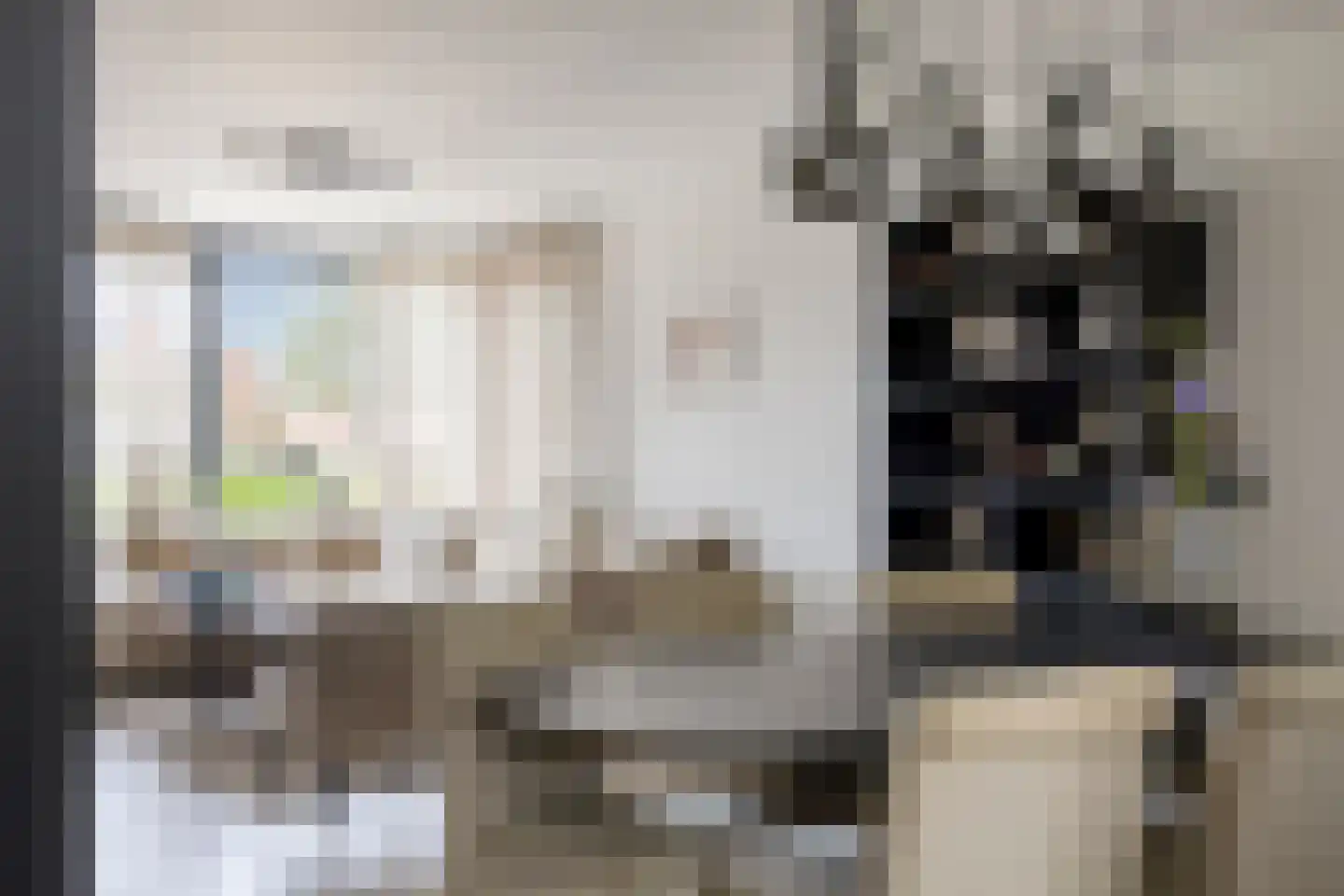 Elzenrijs 83 St. Willebrord thumbnail 12