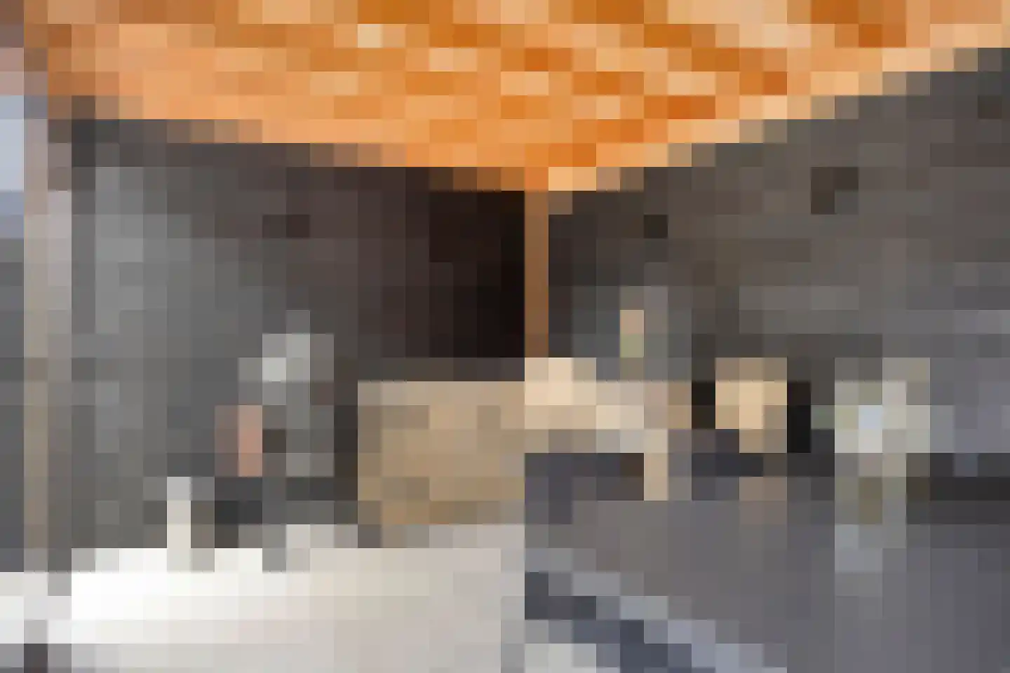 Elzenrijs 83 St. Willebrord thumbnail 31