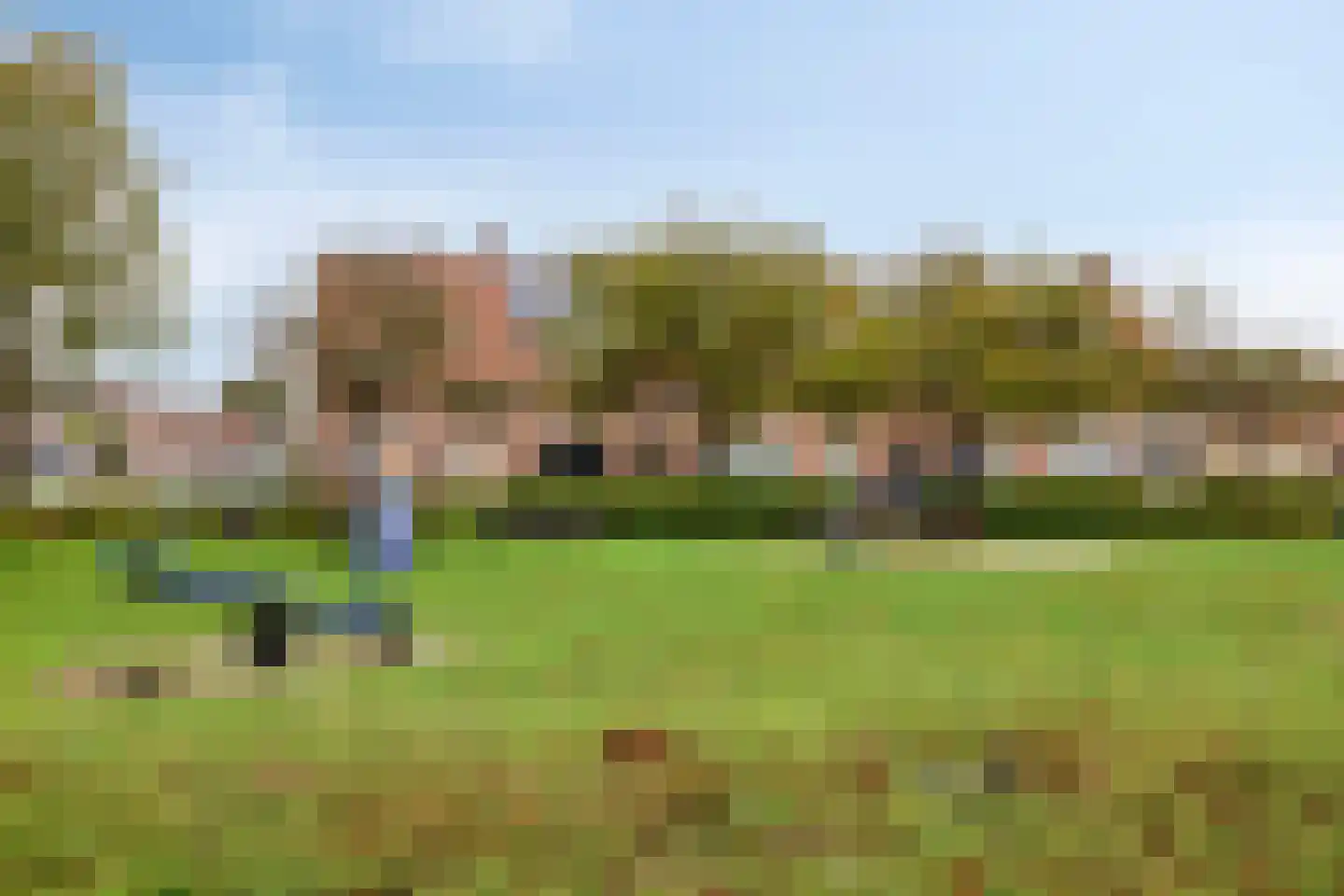 Elzenrijs 83 St. Willebrord thumbnail 38