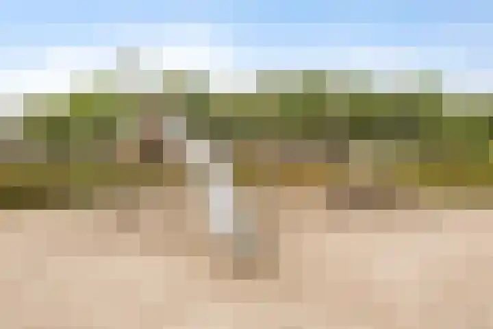 Elzenseloop 15 Heesch thumbnail 36