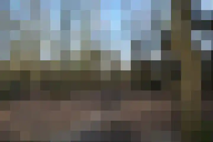 Elzenseloop 20 Heesch thumbnail 54