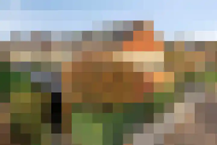 Elzenseloop 20 Heesch thumbnail 8