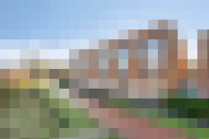 Elzenseloop 54 Heesch