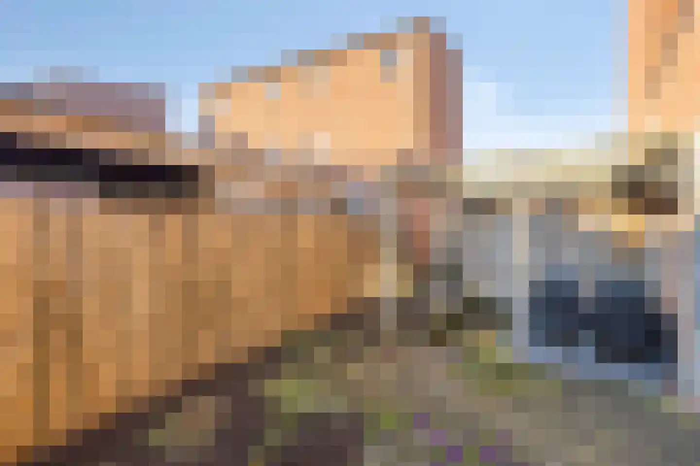 Elzenseloop 54 Heesch thumbnail 31
