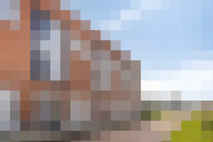 Elzenseloop 60 Heesch