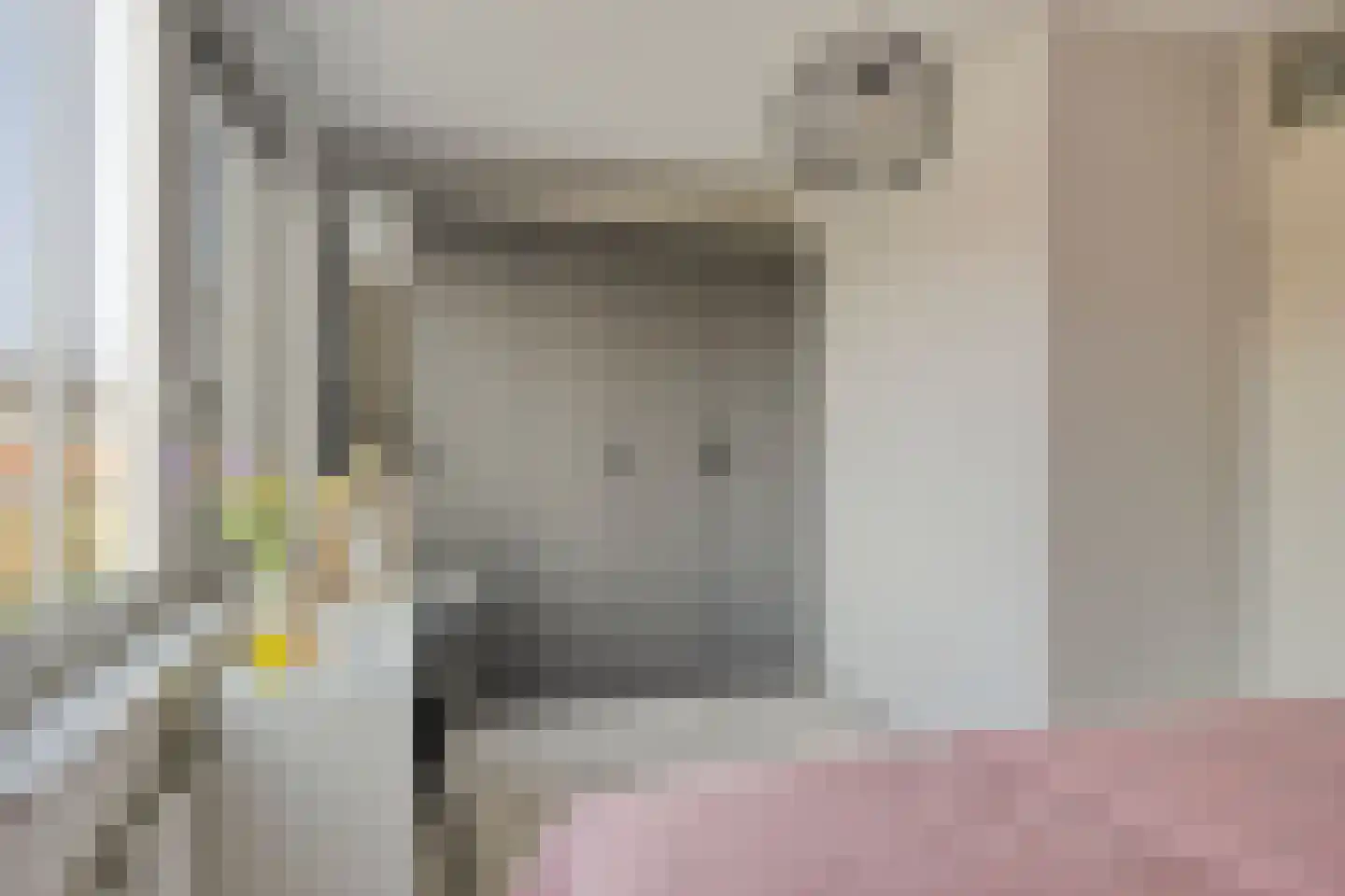 Elzenseloop 60 Heesch thumbnail 11