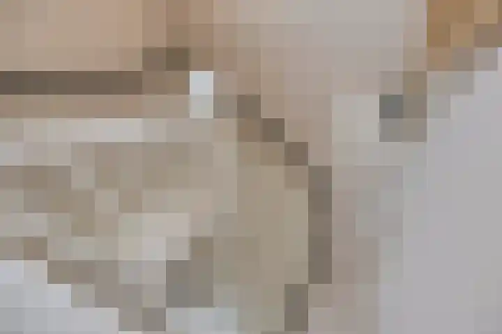 Elzenseloop 60 Heesch thumbnail 17
