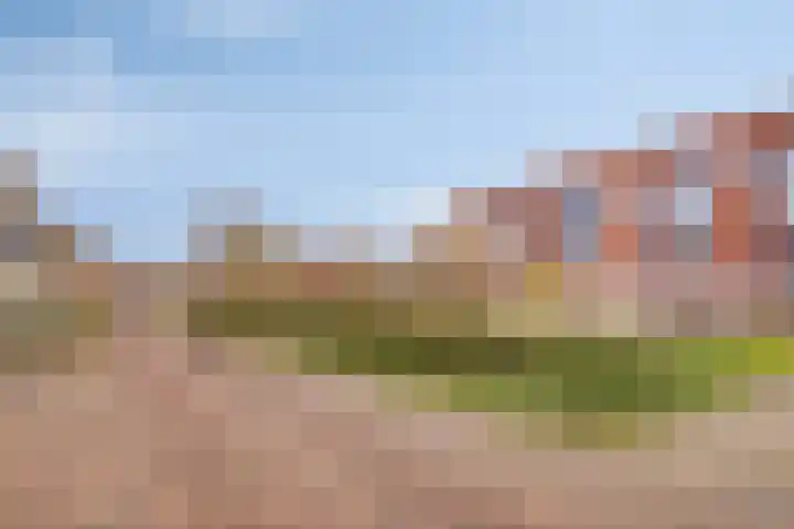 Elzenseloop 60 Heesch thumbnail 27