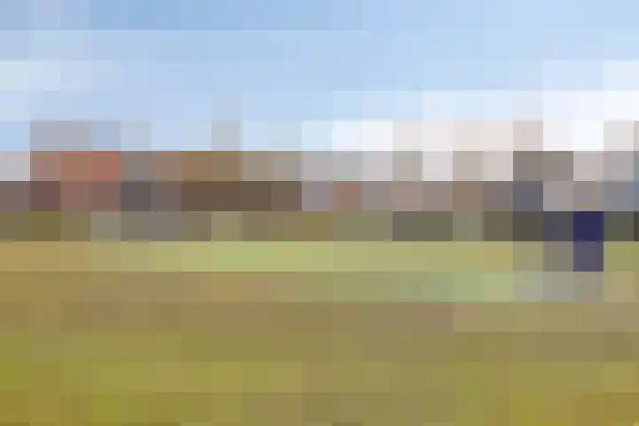Elzenseloop 60 Heesch thumbnail 28
