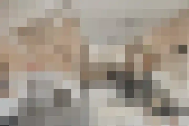 Elzenseloop 60 Heesch thumbnail 4