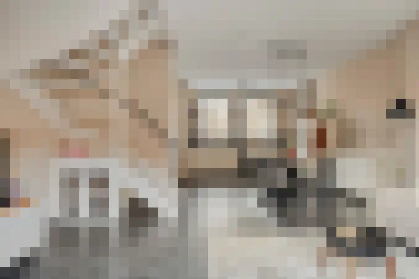 Elzenseloop 60 Heesch thumbnail 4