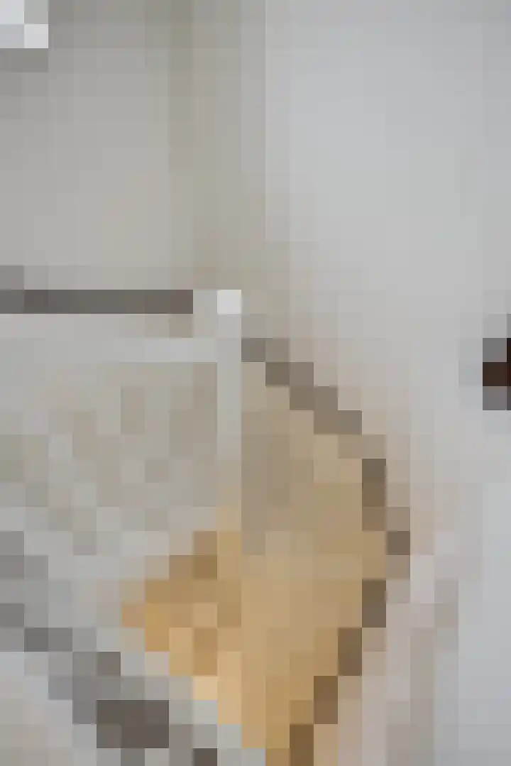 Elzenseloop 62 Heesch thumbnail 14