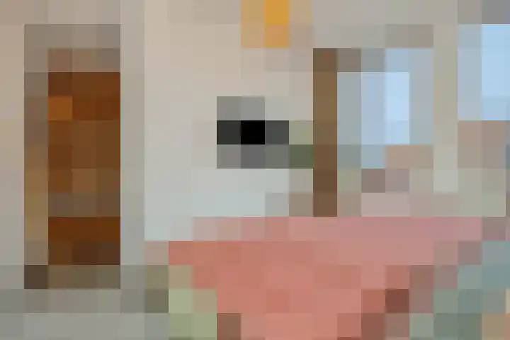 Elzenseloop 62 Heesch thumbnail 17