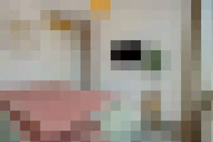 Elzenseloop 62 Heesch thumbnail 19