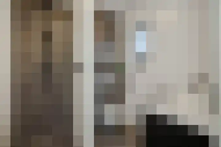 Elzenseloop 62 Heesch thumbnail 21