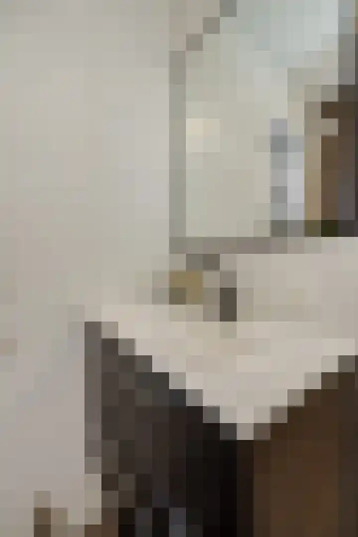 Elzenseloop 62 Heesch thumbnail 23