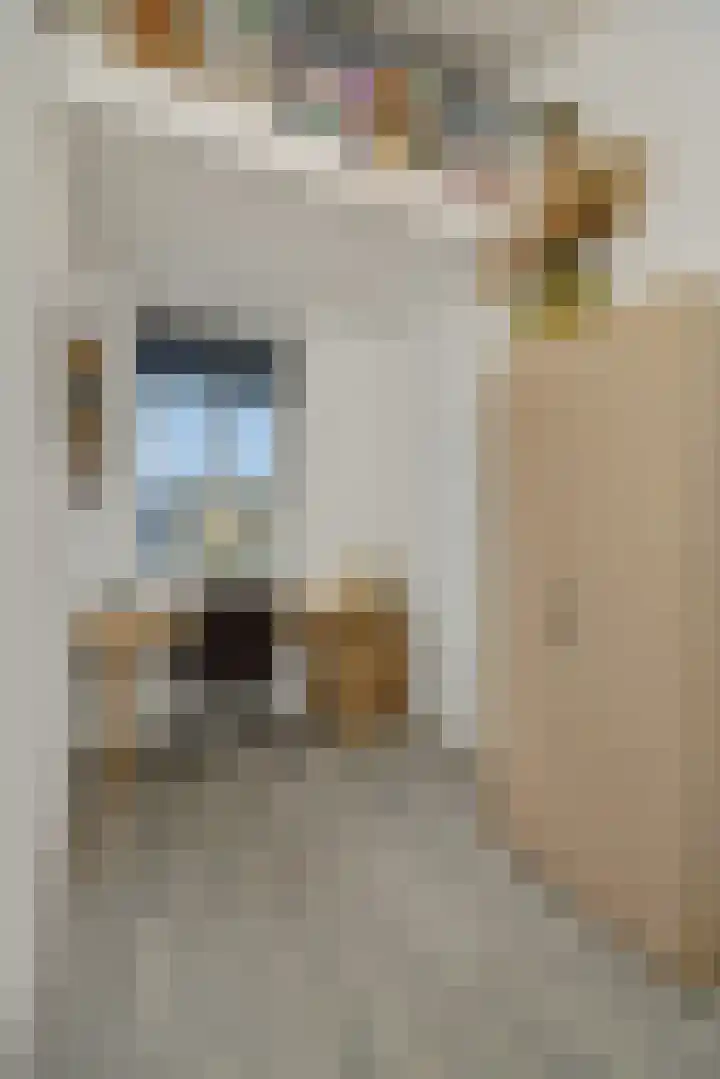 Elzenseloop 62 Heesch thumbnail 28