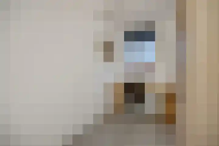 Elzenseloop 62 Heesch thumbnail 29