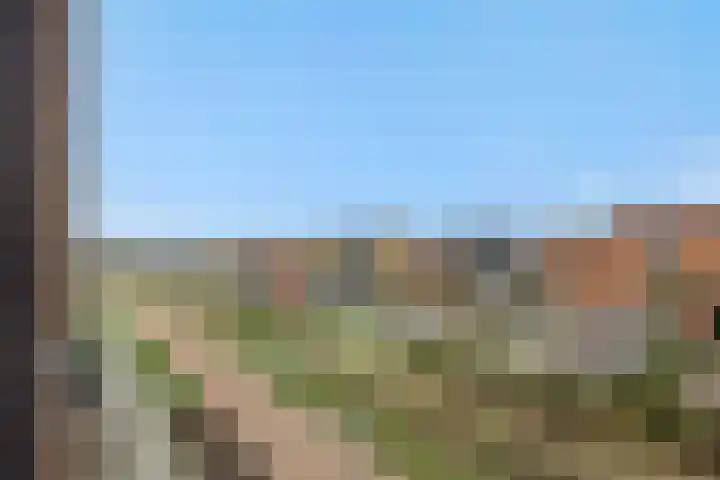 Elzenseloop 62 Heesch thumbnail 30