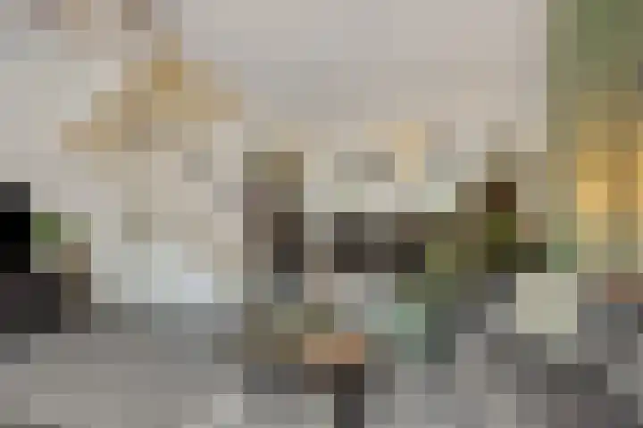 Elzenseloop 62 Heesch thumbnail 4