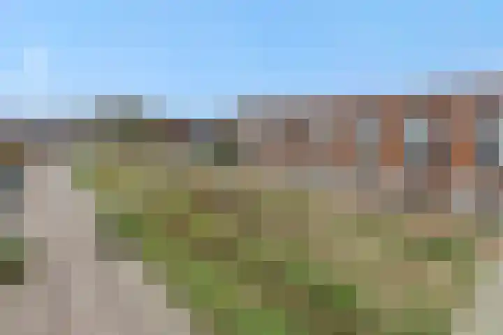 Elzenseloop 62 Heesch thumbnail 41